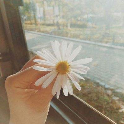 花生碎07: 迁移和重启